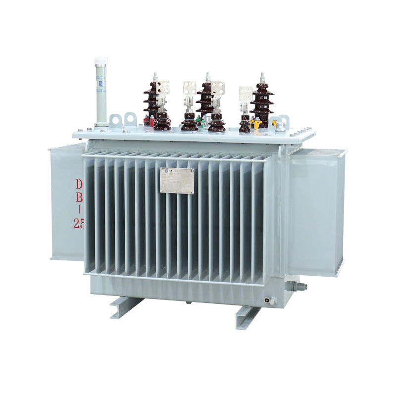 2500 kVA -Flüssigkeitsinstanztransformatoren